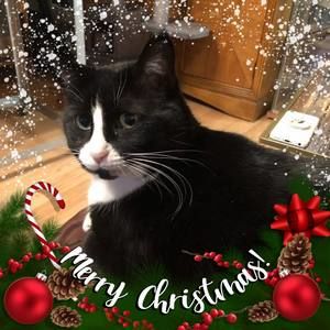 Meet your Posher, Claudette